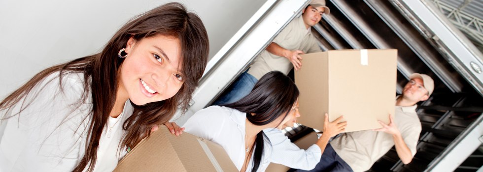 Professional Removalists Carrs Creek